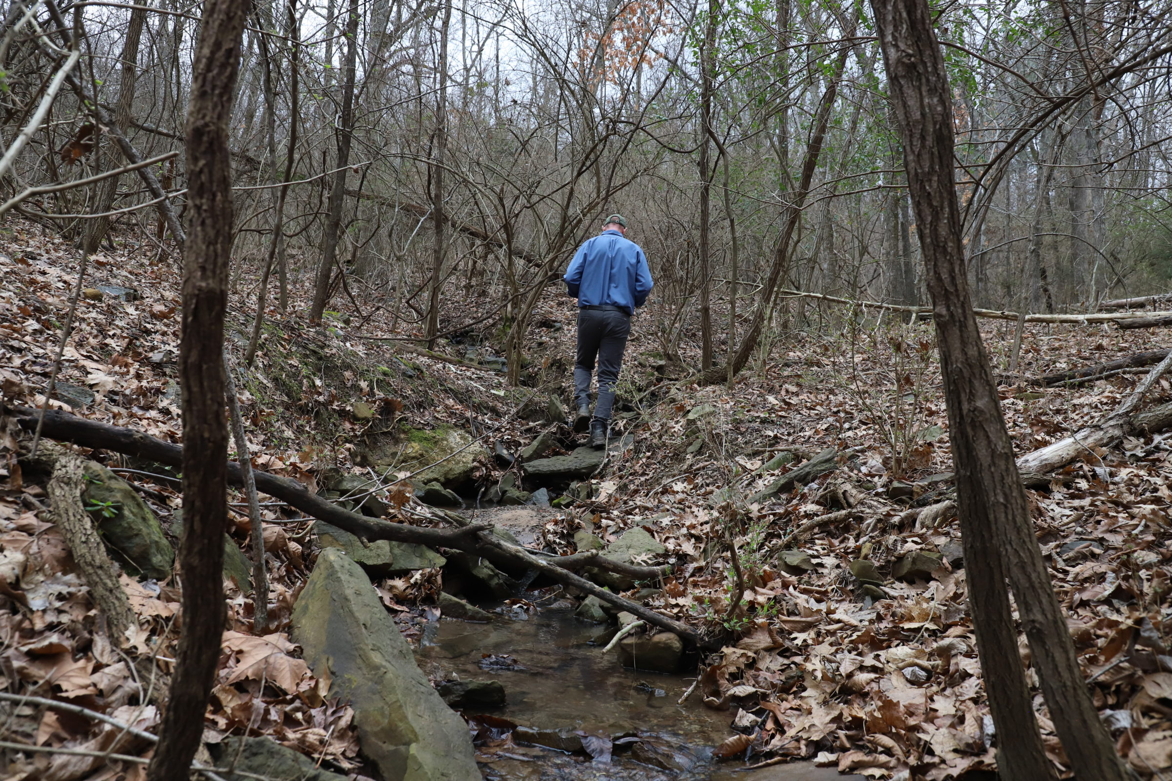 A man walks away from the camera along a creek. It is winter and leaves cover the ground.