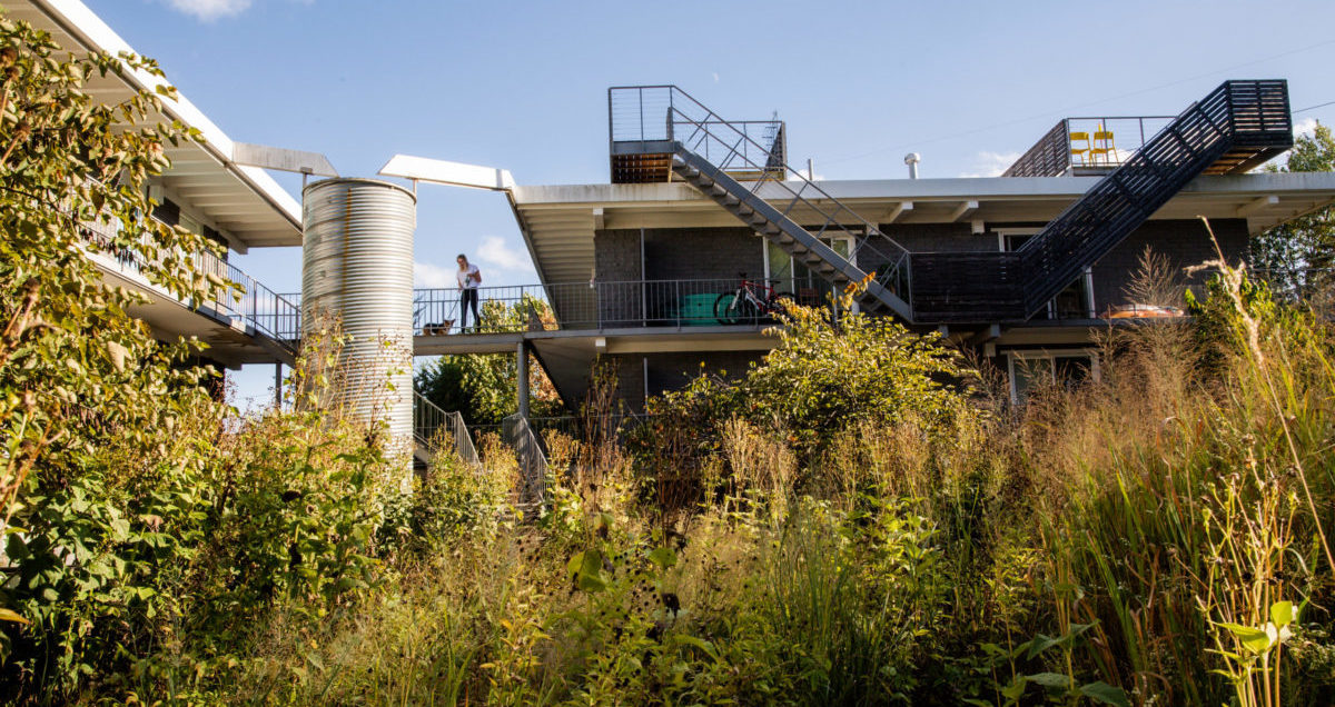 A native plant garden billows with flowers and seedheads in front of modern apartment buildings with a tall metal cistern where a woman and her dog walk on an elevated bridge between buildings