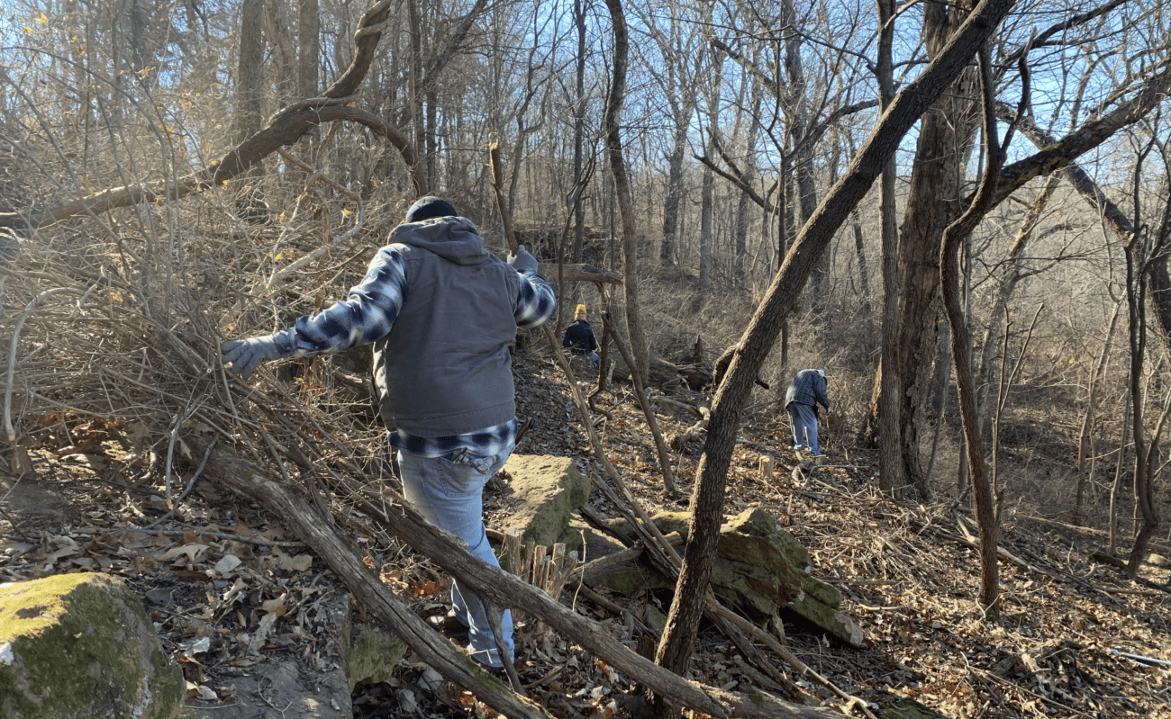 A man in a plaid shirt and heavy vest and gloves lifts a bundle of brush from the forest floor